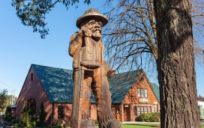 Lorem Ipsum has been the industry’s standard dummy text ever since the 1500s